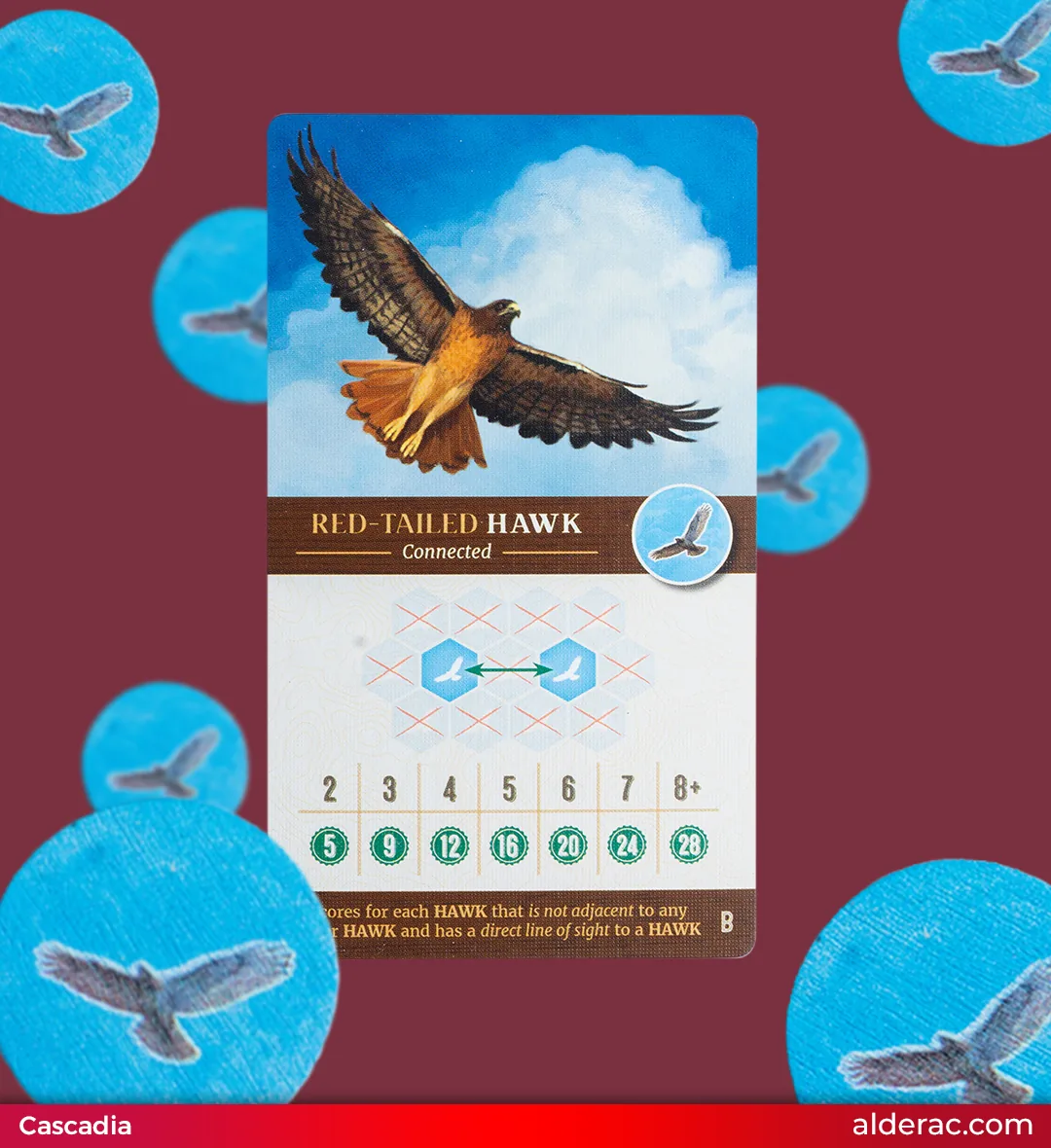 The red-tailed hawk scoring card with its pattern and points
