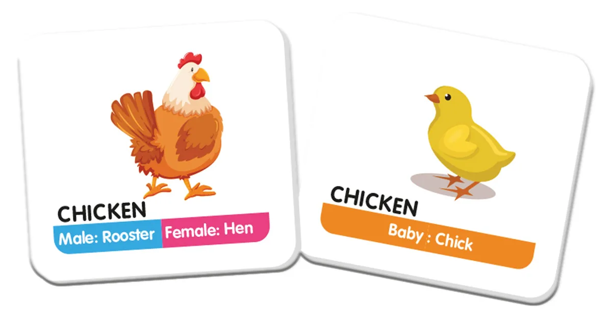 Two picture cards: a rooster and hen labelled 'Male: Rooster, Female: Hen', and a chick labelled 'Baby: Chick'